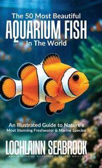 The 50 Most Beautiful Aquarium Fish in the World
