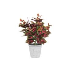 Konstgjord Coleus Palettblad med kruka 40 cm - Vinröd