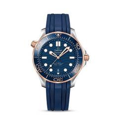 Omega Seamaster Master Chronometer 210.22.42.20.03.002