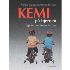 Kemi på hjernen