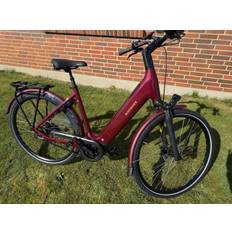 BATAVUS FINEZ POWER Exclusive DK 5N 57 cm
