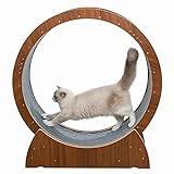 Cat Exercise Wheel Katt Träningshjul Brun, Anti-kläm Katt Löpband för Innekatter, Kraftigt Löphjul för Katter, Multifunktionell Kattleksak/Husdjursleksaker/Katthjul (Size : 110cm/43.3")