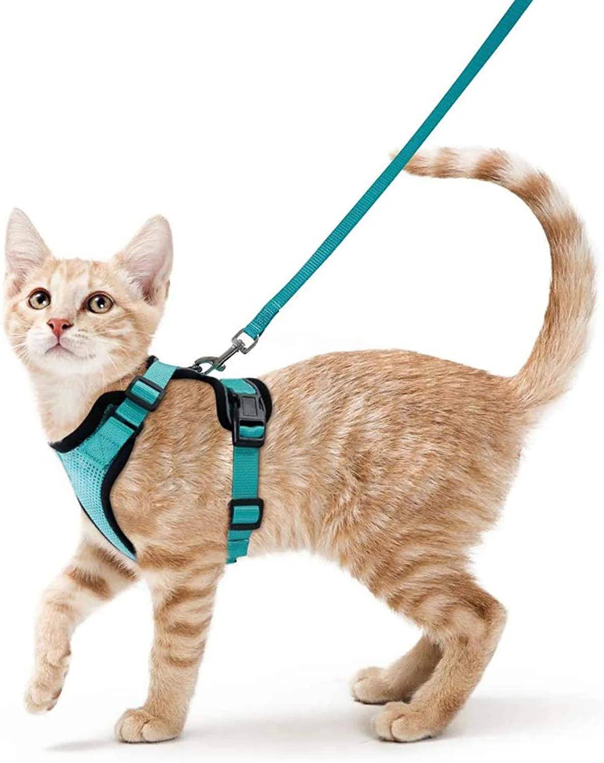 Mjukt Justerbart Kattsele och Koppel för Promenader Flyktsäker Västsele med Enkel Kontroll Husdjurshalsband för Kattungar