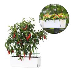 Vegetable Planter Balcony Planter Box Indoor Set Self Watering Rectangular Vegetables Flowers vit