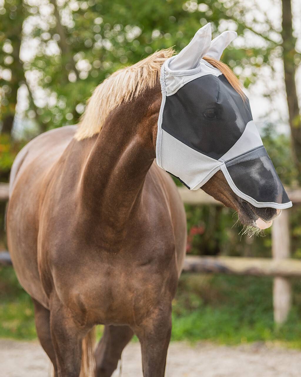 QHP Solaire fluemaske med UV-beskyttelse - Pony