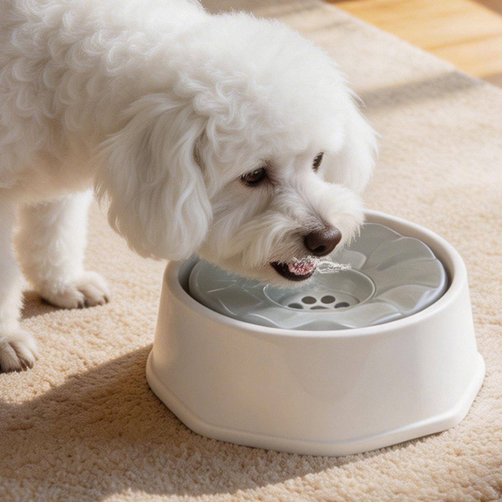 1000ml Pet Floating Water Bowl No-Spill Dog Water Dispenser Anti-Choke Slow Feeder For Spill Drinking Water Dispenser pet Bowl