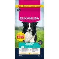 15 + 3 kg på köpet! 18 kg Eukanuba Premium Nutrition - Adult Medium Breed kyckling
