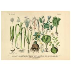 Victorian Garden No2 Poster (30x40 cm)