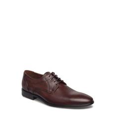 LLOYD Osmond |Brown |47