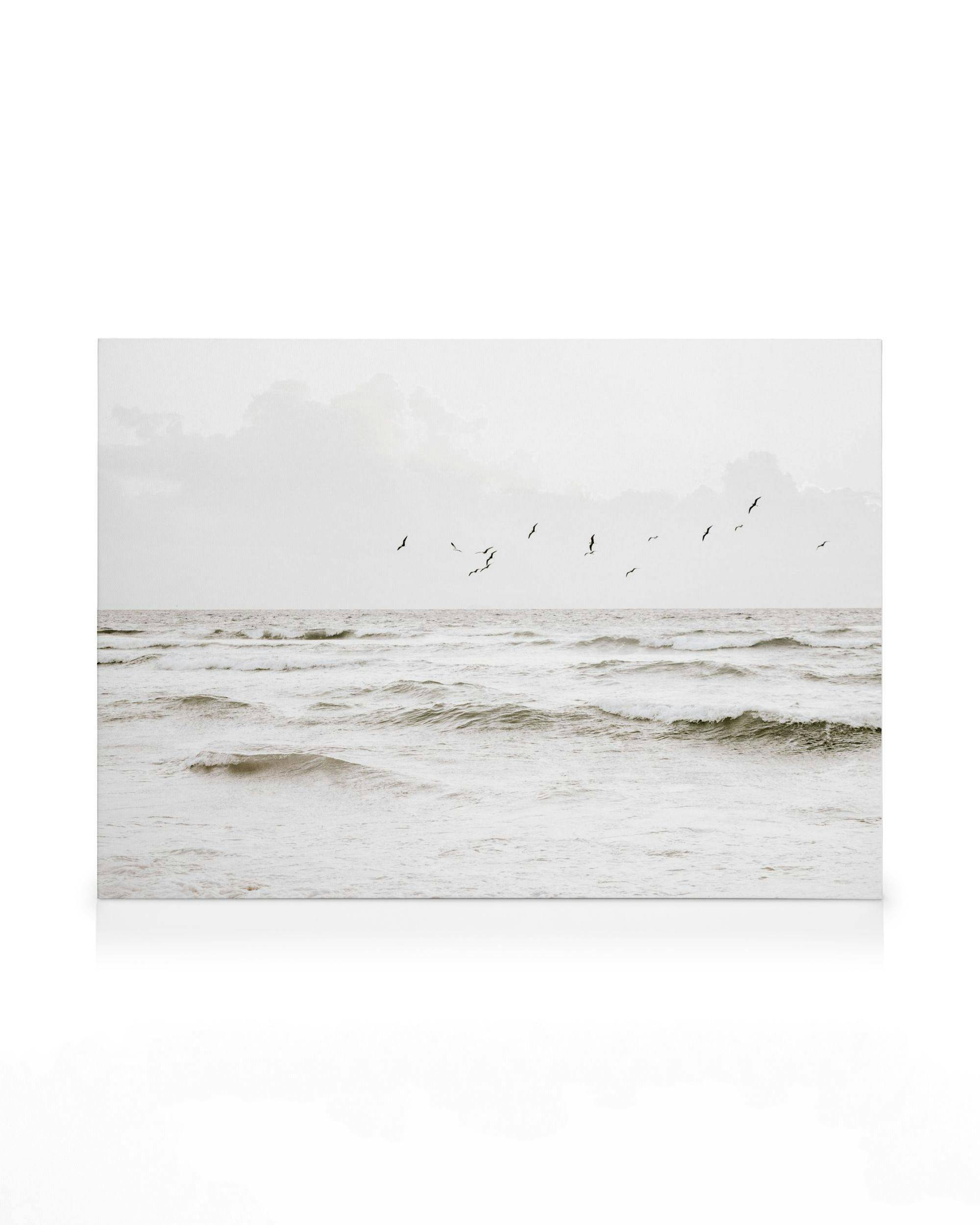 Canvastavlor Flock of Seabirds Canvastavla (30x40 cm - Ekram)