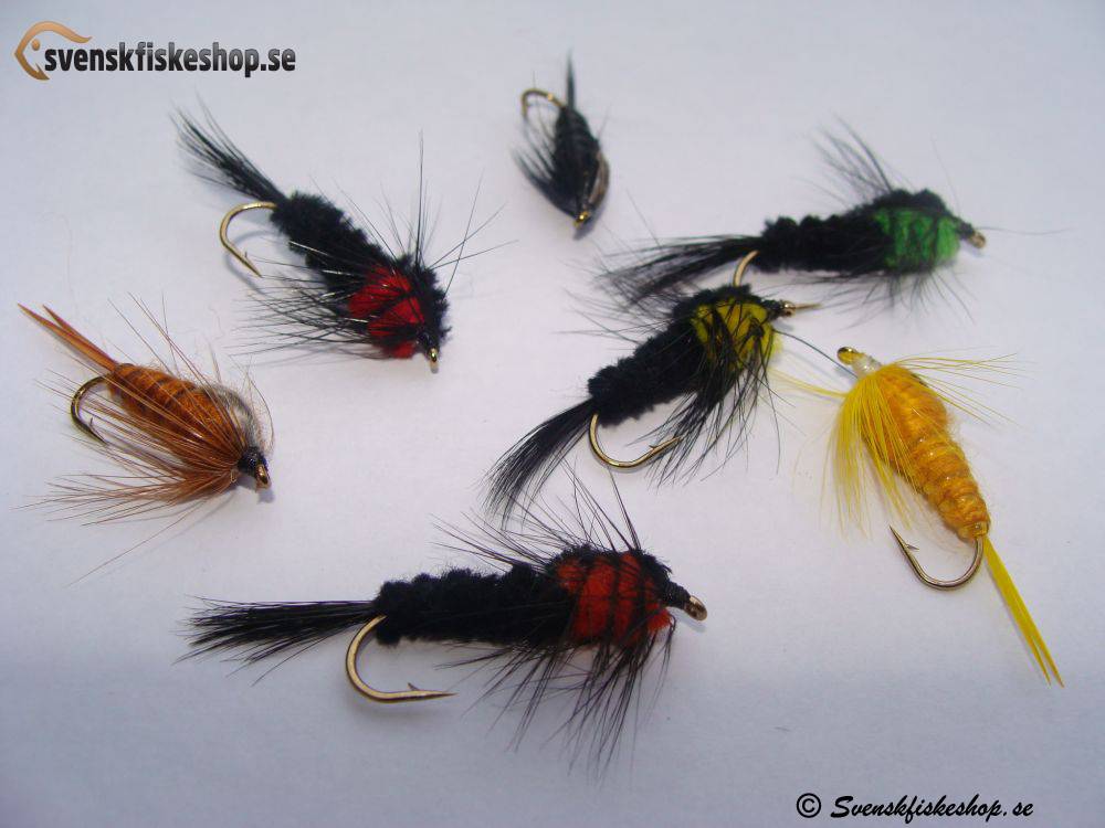 Nymfer Stora 20 st