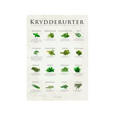 Poster&Frame plakat - Krydderurter - B 50 x L 70 cm - Papir