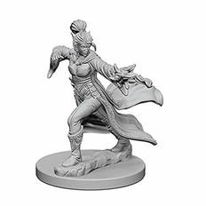 Pathfinder: Deep Cuts Unpainted Miniatures: Elf Female Sorcerer