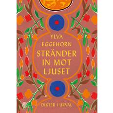 Stränder In Mot Ljuset