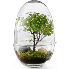 Design House Stockholm - Grow Miniväxthus Xl - Klar