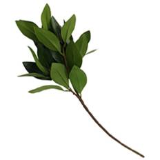 Eukalyptus, kunstig blomst, 56 cm