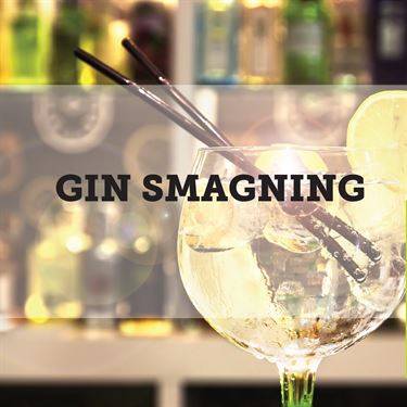 Ginsmagning for 10 pers..