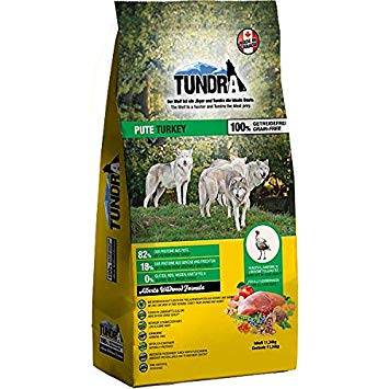 Tundra Kalkon / Turkey