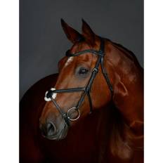 Weatherbeeta Collegiate Comfitec Opulux Plain Grackle Bridle