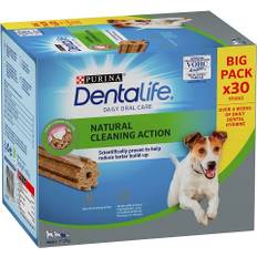 Dentalife Small 30-pack