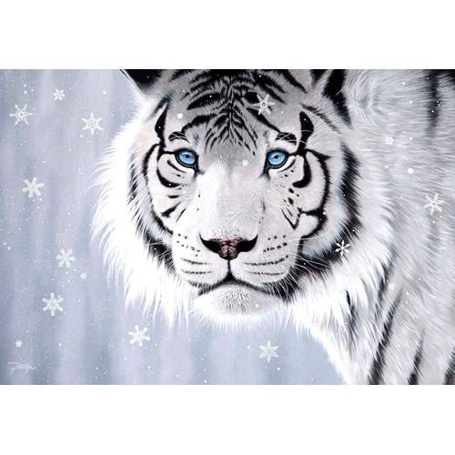 500 bitar - John Rattenbury, Crystal eyes