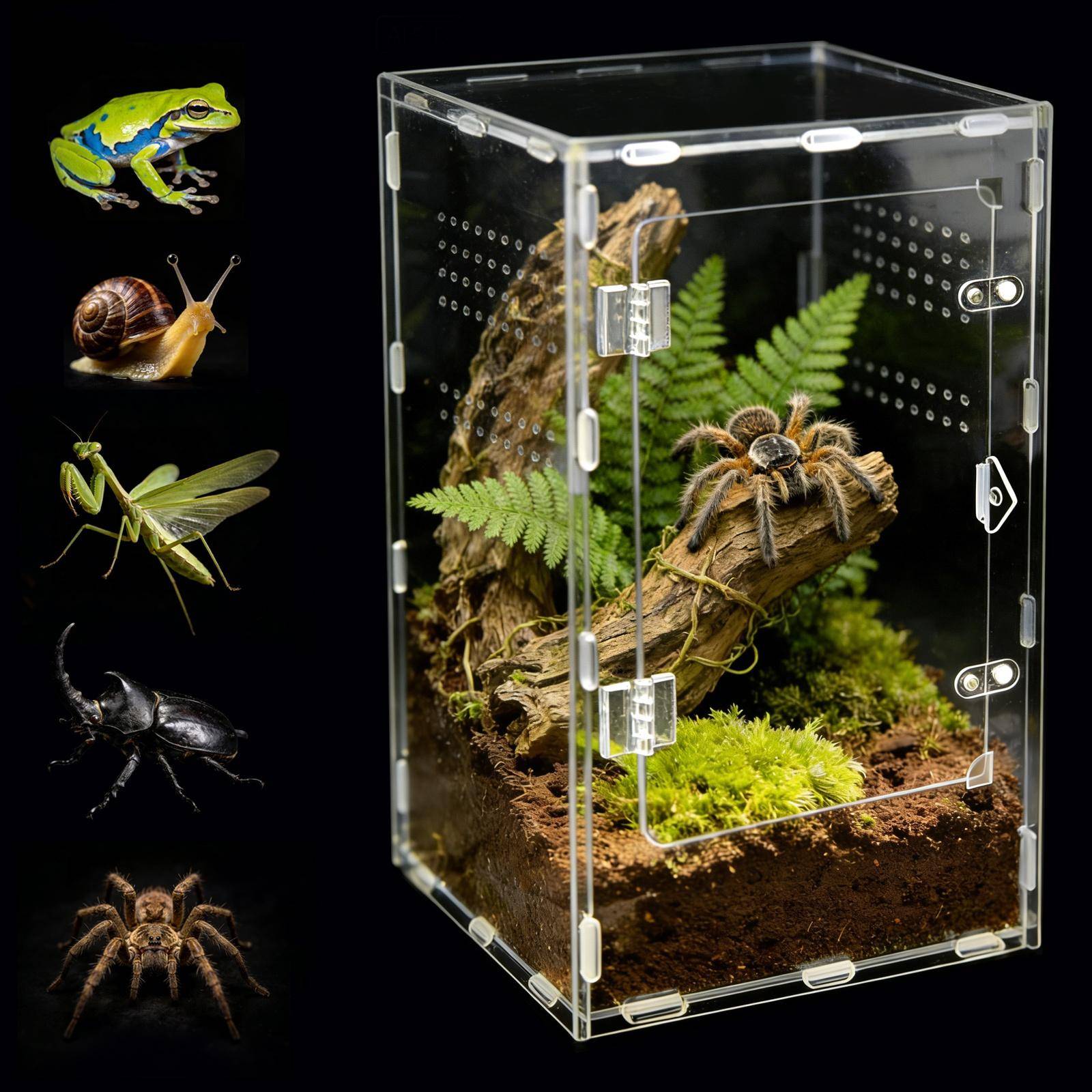 Transparent Akryl Hoppande Spindel Terrarium Uppfödningslåda Sammanfogad Reptiler Gekko Insekt Ventilerat Terrarium För Tarantula white