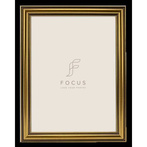 Focus Holly Gold 13x18