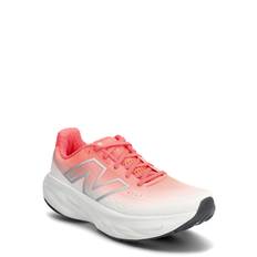 NEW BALANCE New Balance Freshfoam 1080 V14 |White |43