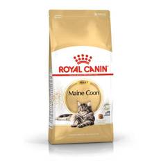 Royal Canin Maine Coon Adult - 4 kg.