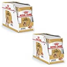 Royal Canin Poodle Adult | dubbelpack | 2 x 12 x 85 g | våtfoder för vuxna pudel | För att stödja pälsen | Optimal daglig näring | Från 10:e Månad i livet