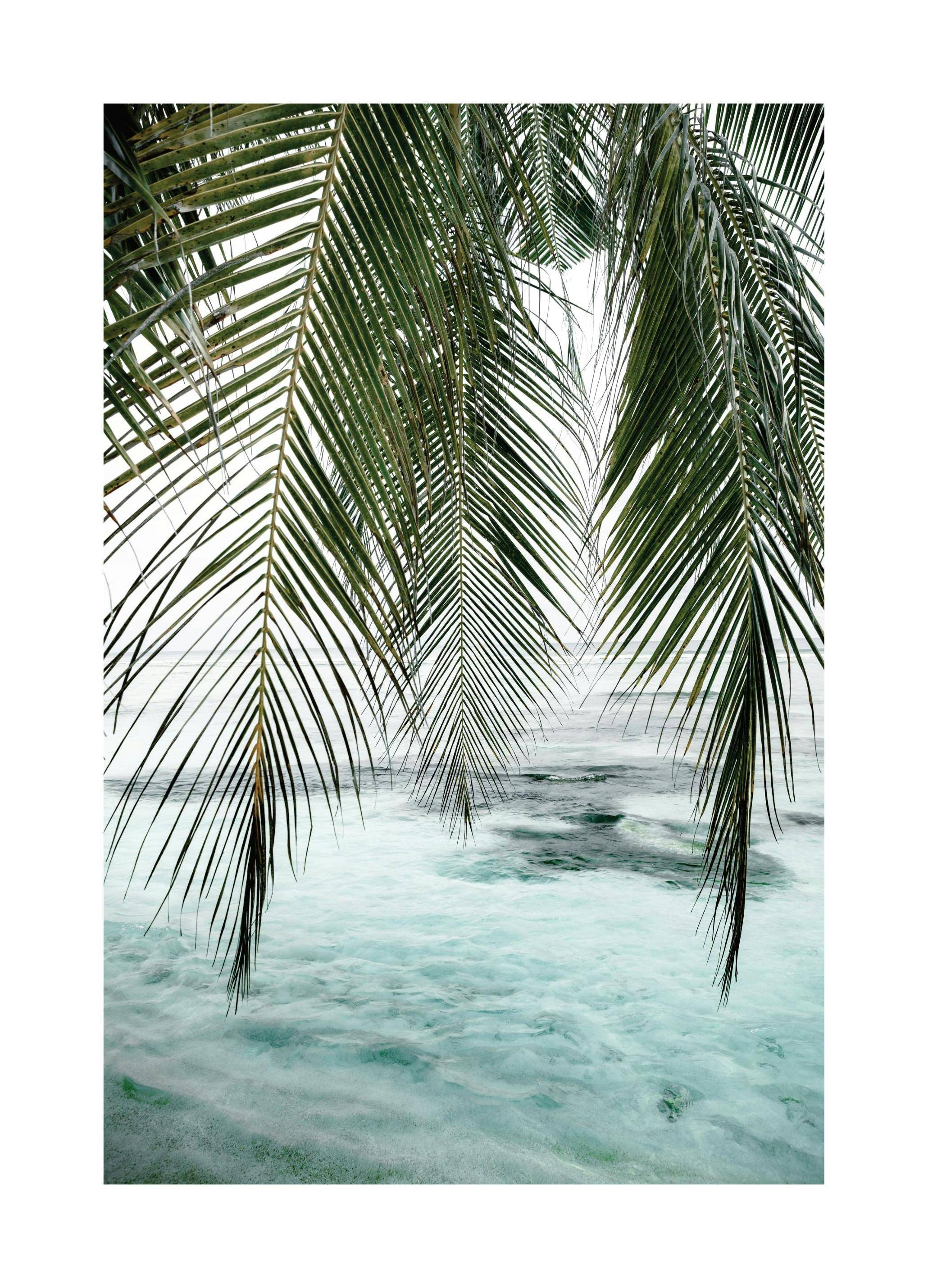 Ocean Palm Poster (50x70 cm)