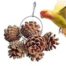 Pinecone Parrot Chew, Natural Bird Toys, Parrot Chewing Toy, Bird Cage Accessories, Macaw Bird Toys, Cockatoo Cage Toys, Bird Chew Toys, Parakeet Chew Toy, Small Bird Toys, Medium Parrot Toy, Nuts Bir