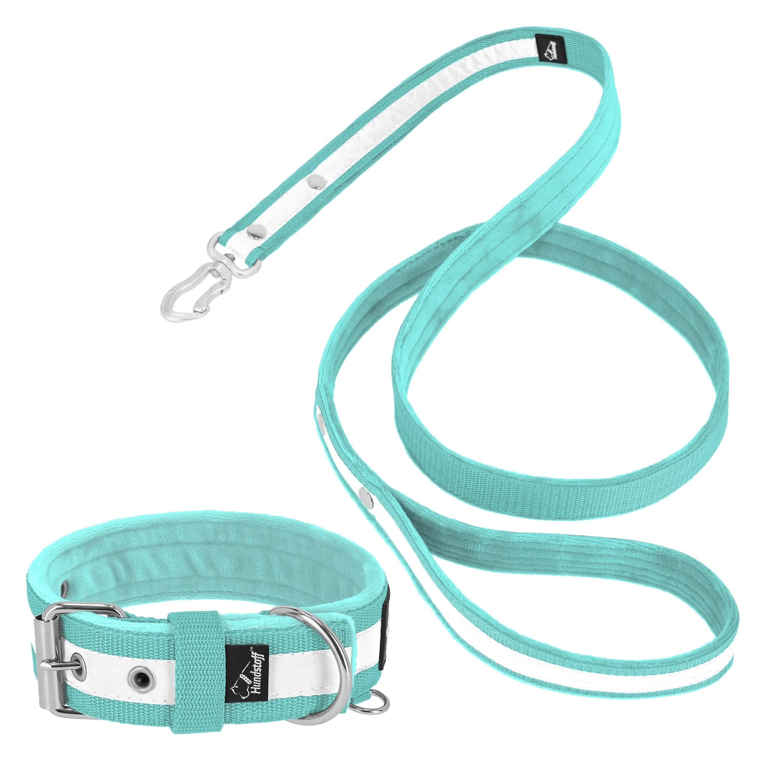 Active Safe Set Mint - Active halsband & koppel med reflex - Default Title