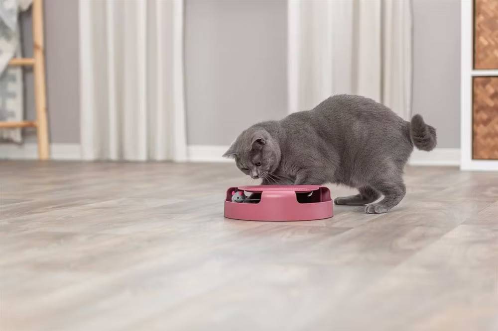 Kattleksak Catch the Mouse 25cm – aktiverande jaktlek för nyfikna katter