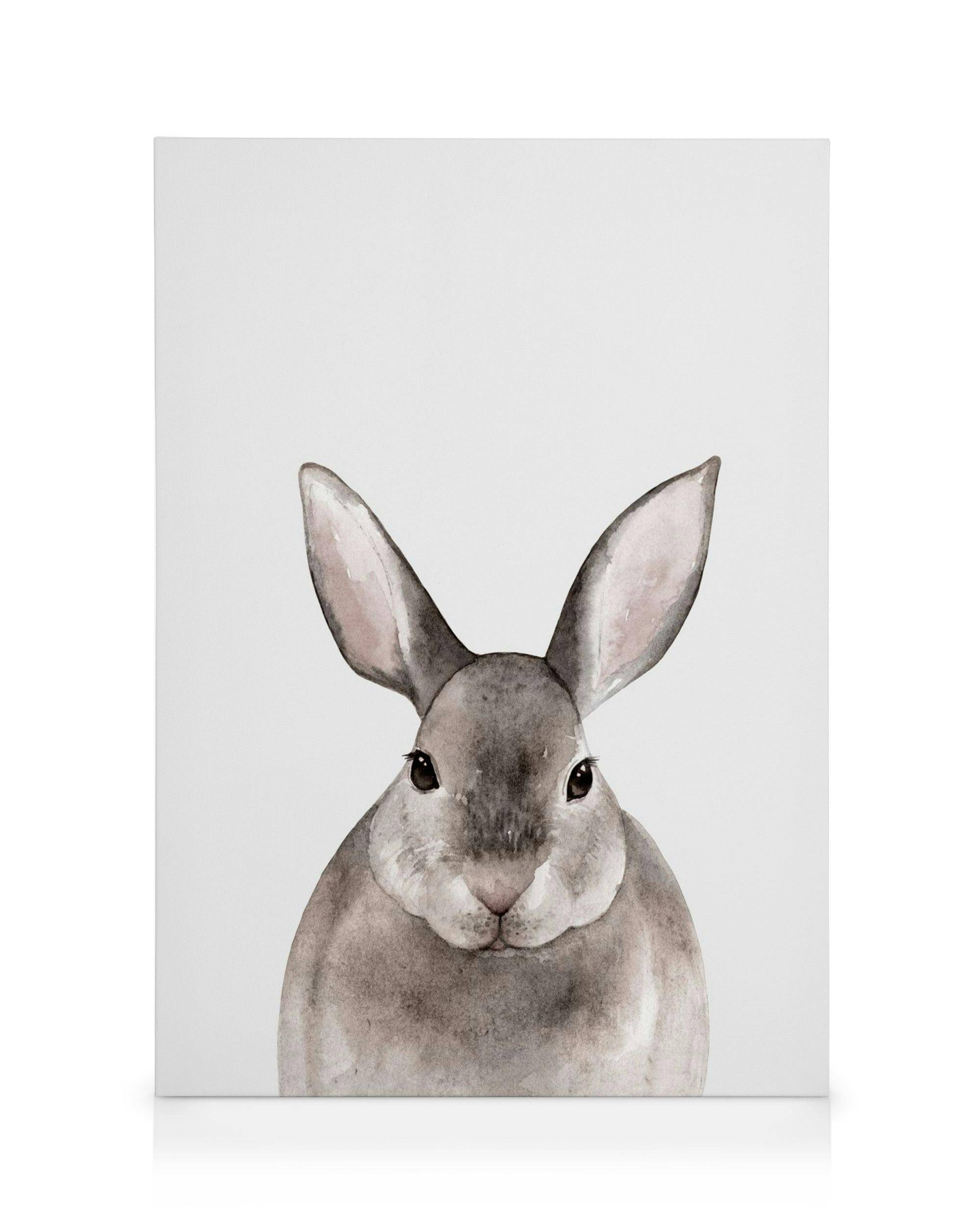 Canvastavlor Little Rabbit Canvastavla (50x70 cm - Ekram)