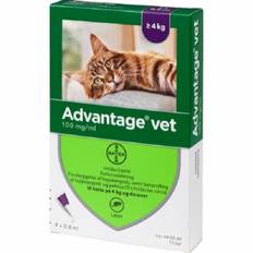 Advantage Vet til kat over 4 kg.