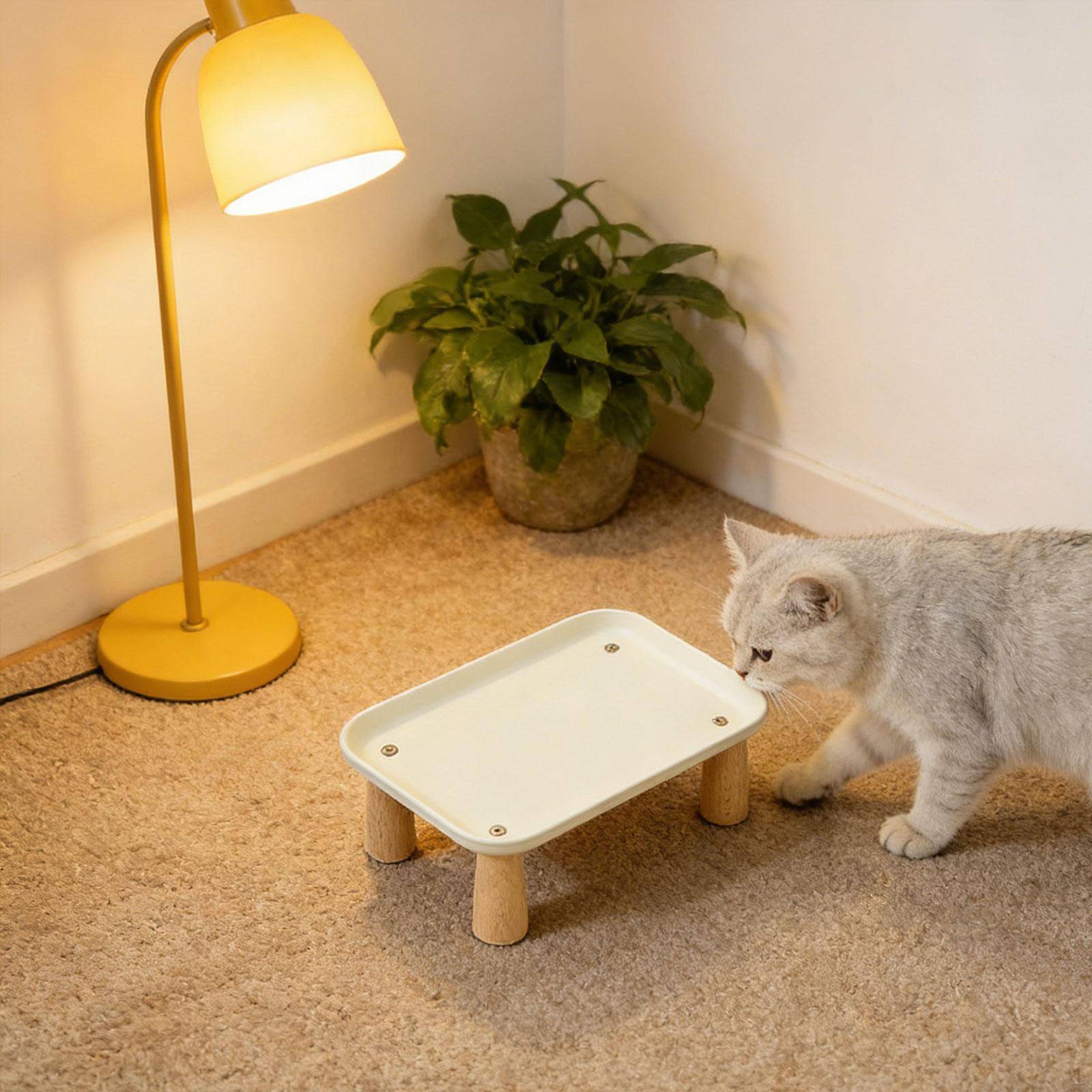 Upphöjd kattmatskål med matare, Tvättbar PP-trä, Ergonomisk design, Lämplig för husdjursmåltider white