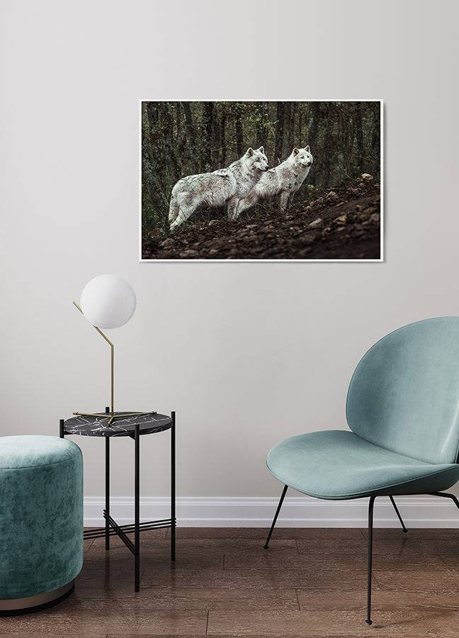Poster - Predators - Brun, Grön