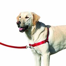 Easy Walk sele, Sort, XL