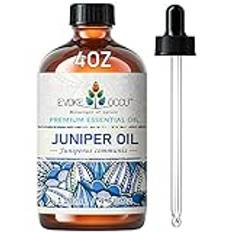EVOKE OCCU Enbär Eterisk Olja 4 Oz, Ren och Naturlig Enbär Eterisk Olja för Aromaterapi Diffusor, Doft DIY, Hudvård och Massage - 4 FL Oz