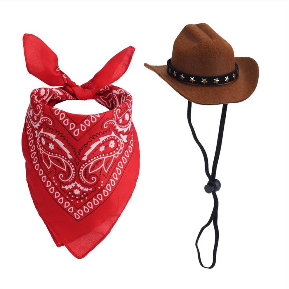 Western Cowboy Porch Goose-kostumer