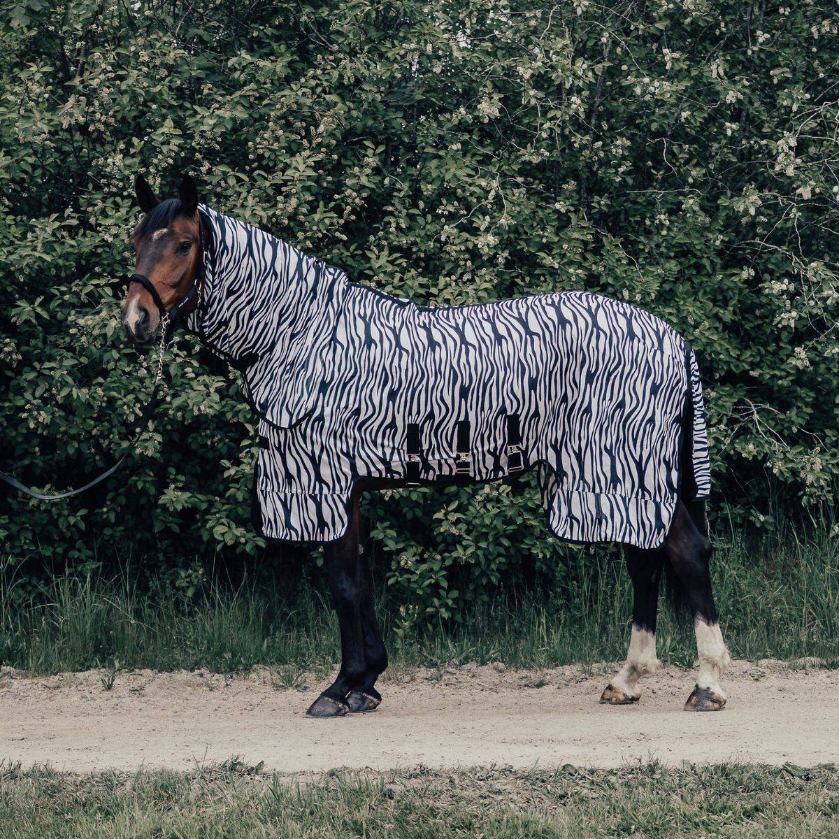 Flugtäcke All-in-One Zebra New Basic 2.0 Haglunds