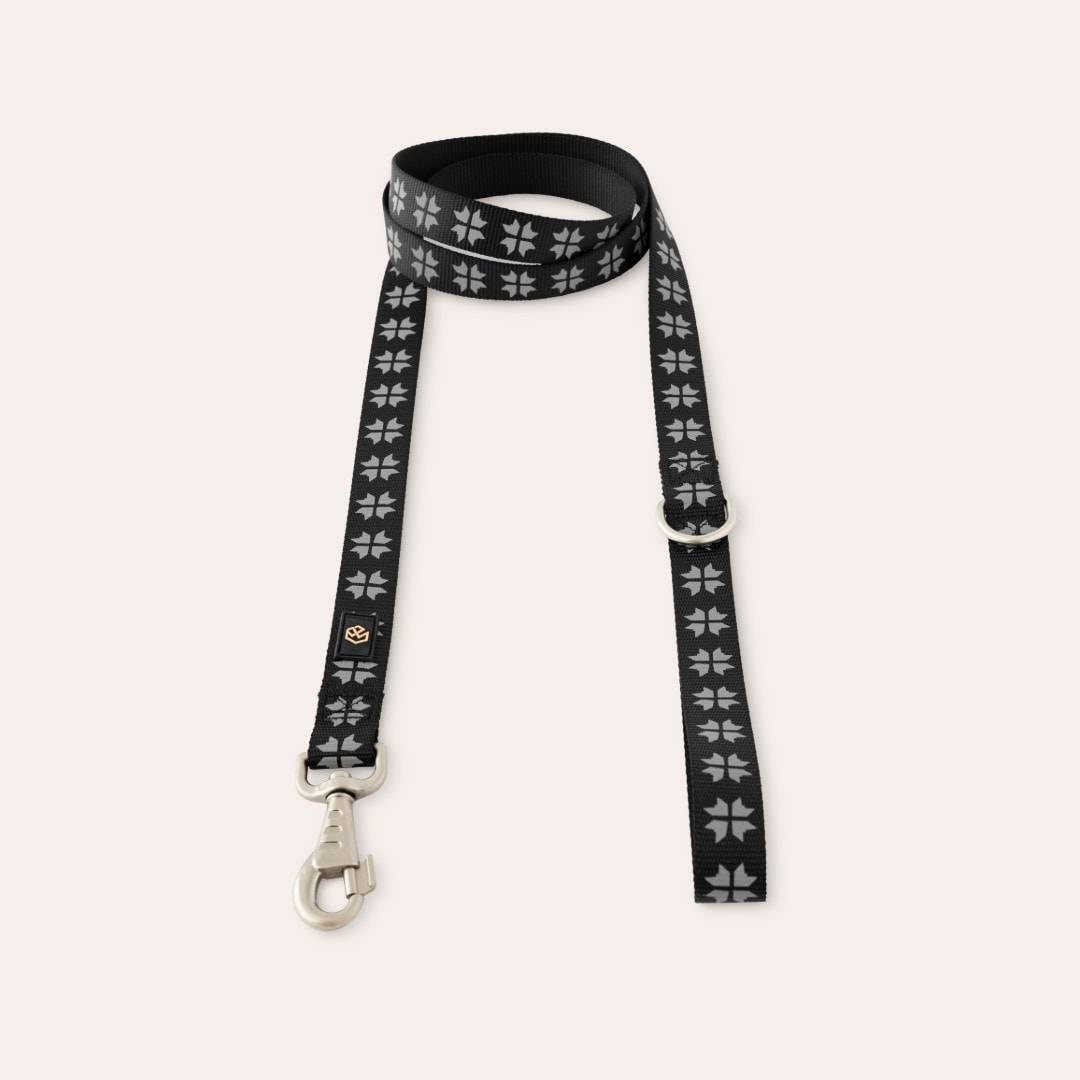 Reflexkoppel Hund Kelso traxx® Svart