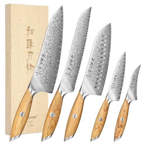 HEZHEN Damaskus köksknivset 5 delar, professionellt kockknivset i damaskusstål, Santoku-kniv, ergonomiskt olivträhandtag
