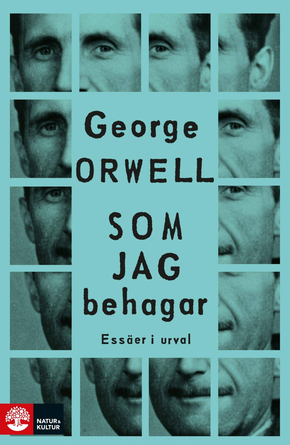 Som Jag Behagar - Essäer I Urval