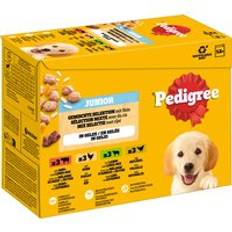 Pedigree Junior Pouch Multipack - 12 x 100 g Mixed Selection i gelé (4 sorter)