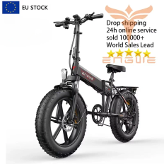 ENGWE EP-2 Pro Ebike 250W Motor 48V13AH Lithium Battery Mountain Snow Two-Wheeled Electric Bicycle