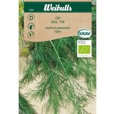 Dill KRAV
