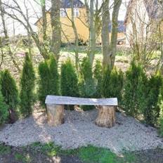 Hækthuja 'Smaragd'