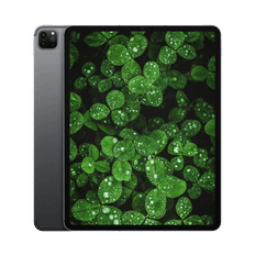 iPad Pro 5.Gen (2021) 12.9" WiFi